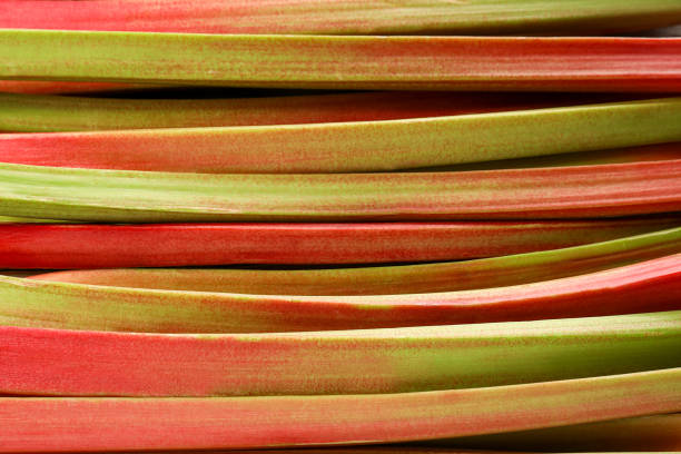 fresh rhubarb on wooden surface