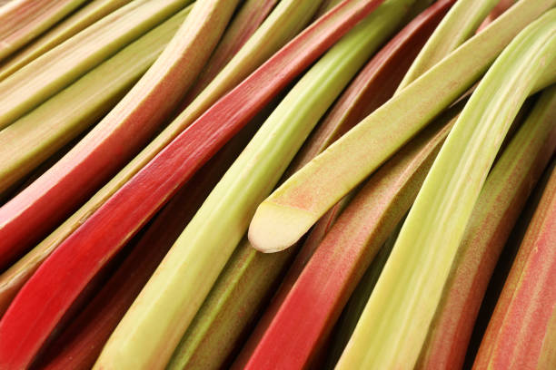 istock Many ripe rhubarb stalks as background, closeup 1920925072