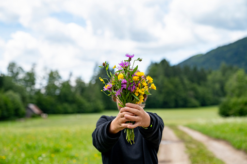 Teenaged boy holding beautiful colorful bouquet of hand picked meadow flowers directly towards the camera. Boy standing in beautiful green nature with country road.