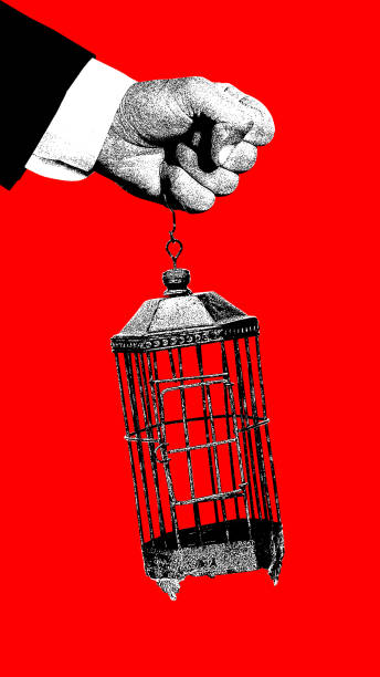 istock Male hand holding empty bird cage against red background. Control. Contemporary art collage. 1920935270