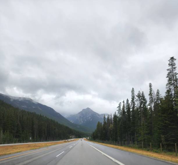 istock The beauty of Albertan nature. 1920959621