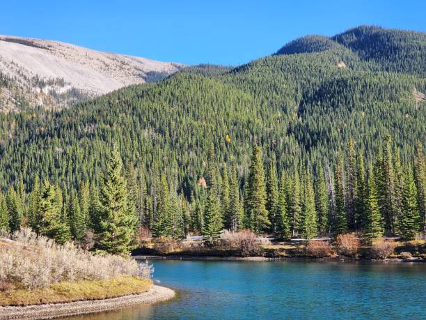 istock The beauty of Albertan nature. 1920961261
