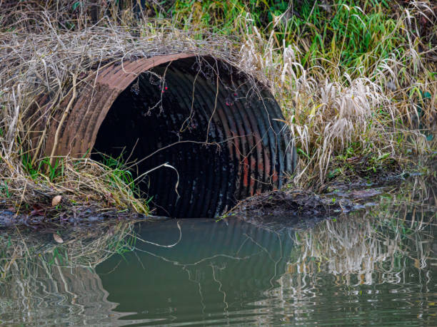 Culvert in a wetland pond. Clogged by a beaver built dam. Has been cleared several times but beavers just plug it again.