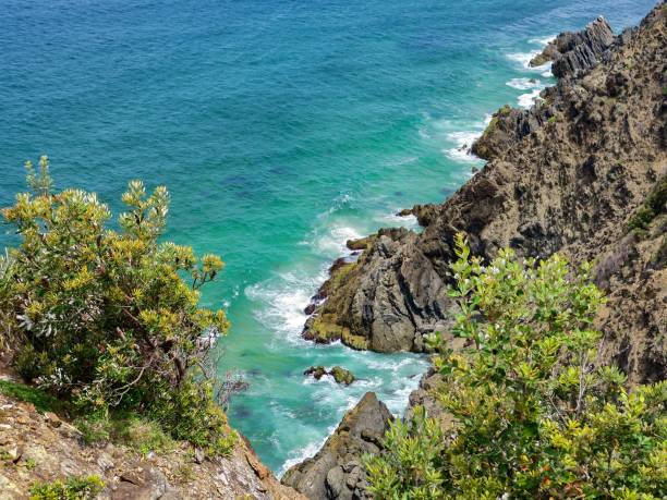 istock Trees on the Edge of the Cliff 1920969145