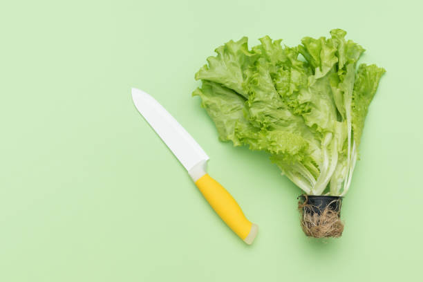 istock A knife with a white blade and lettuce leaves on a green background. 1921000094