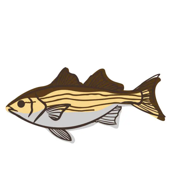 Vector illustration of Abstract striper fish doodle sign illustration for decoration on marine life, aquarium, fishing and nautical concept.