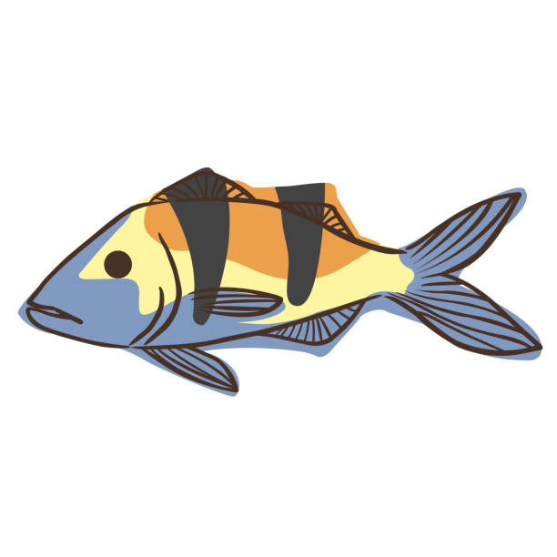 istock Abstract Doublebar goat fish doodle sign illustration for decoration on marine life, aquarium, fishing and nautical concept. 1921062721