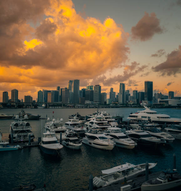 istock city harbour bridge sunrise downtown miami 1921071128