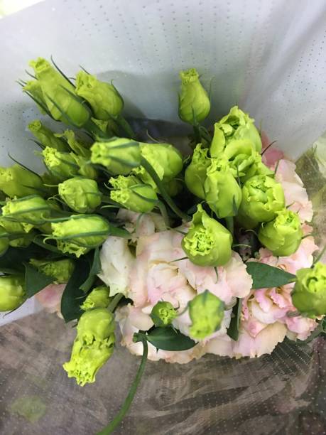istock bouquet of flower 1921071658