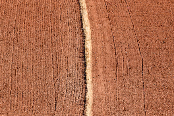 istock The boundary divides the tilled fields into two parts 1921074345