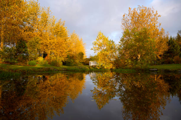 istock Peaceful lake reflecting autumn trees in park 1921077514