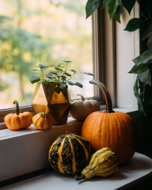 Casual pumpkin decor indoors on window sill during autumn