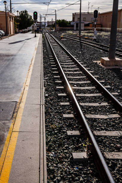 istock plant at the Villajoyosa train station 1921079679