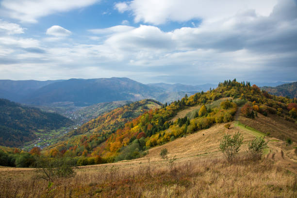 istock Golden autumn in the Carpathians 1921086599