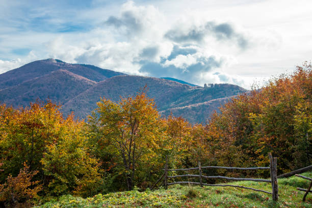 istock Autumn beeches in the Carpathians. 1921088171