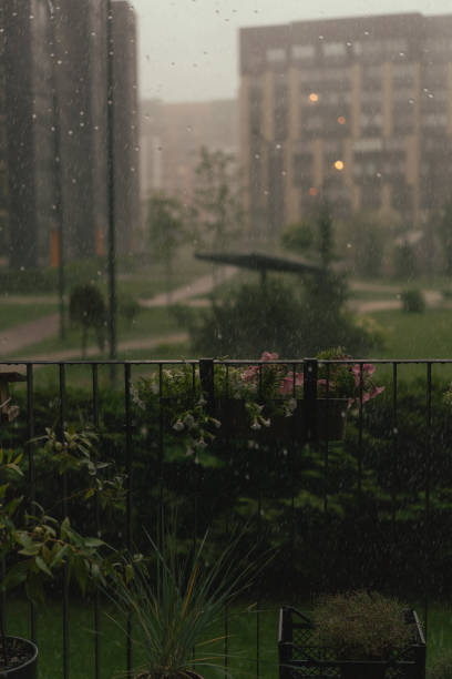 istock Rainy summer day, flowers on the terrace. 1921089223