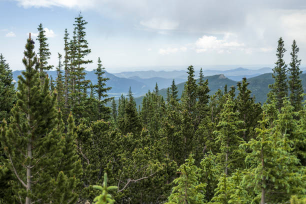 istock Beautiful view through a forest down on the foothills, Colorado 1921111192