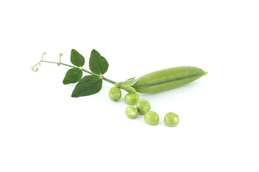 Pea pods with bright green leaves in close up isolated on white background