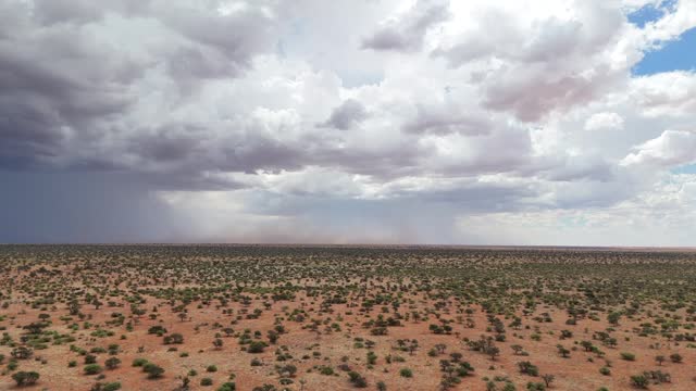 Aerial footage of the southern Kalahari, storm clouds building in the distance.