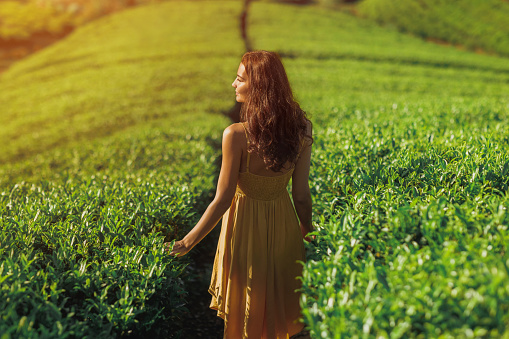 Traveler woman walking among tea trees during her travel to famous nature landmark tea plantations. Romantic brunette Asian girl in stylish yellow dress walking, enjoying her vacations against perfect landscape background