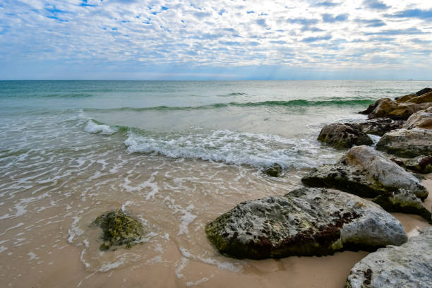 istock New Years Day on the Beach 1921295835