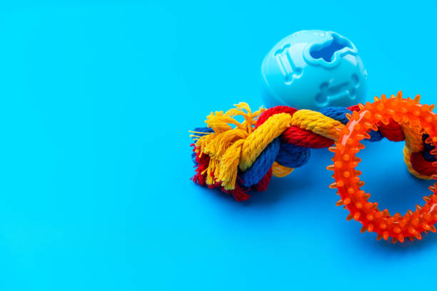 Toys for dogs on blue background studio shot close up