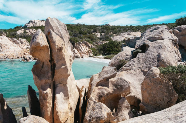 istock Cala Delle vacche Sardinia Italy 1921408962