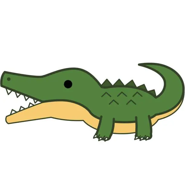 Vector illustration of Crocodile