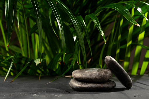 Stacked black stones with green palm leaves on black background for display