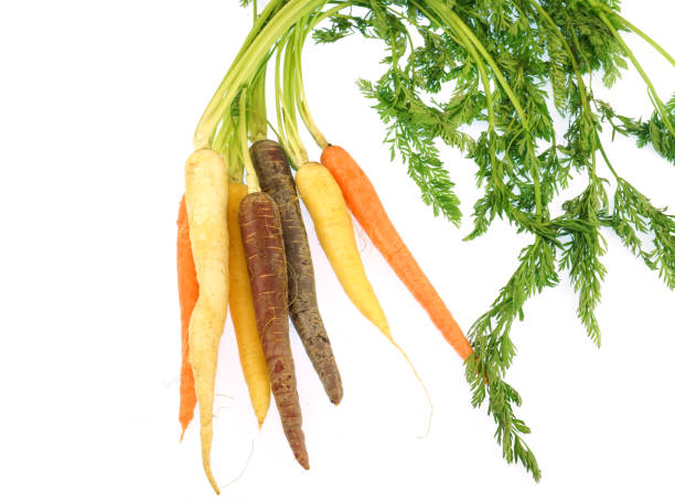 istock Colorful organic carrot isolated on white background 1921453721