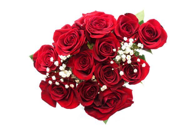 istock fresh red roses in a bouquet isolated on white background 1921453722