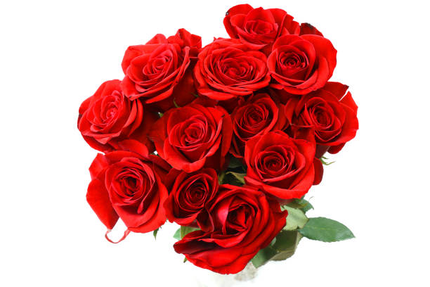 istock fresh red roses in a bouquet isolated on white background 1921454235