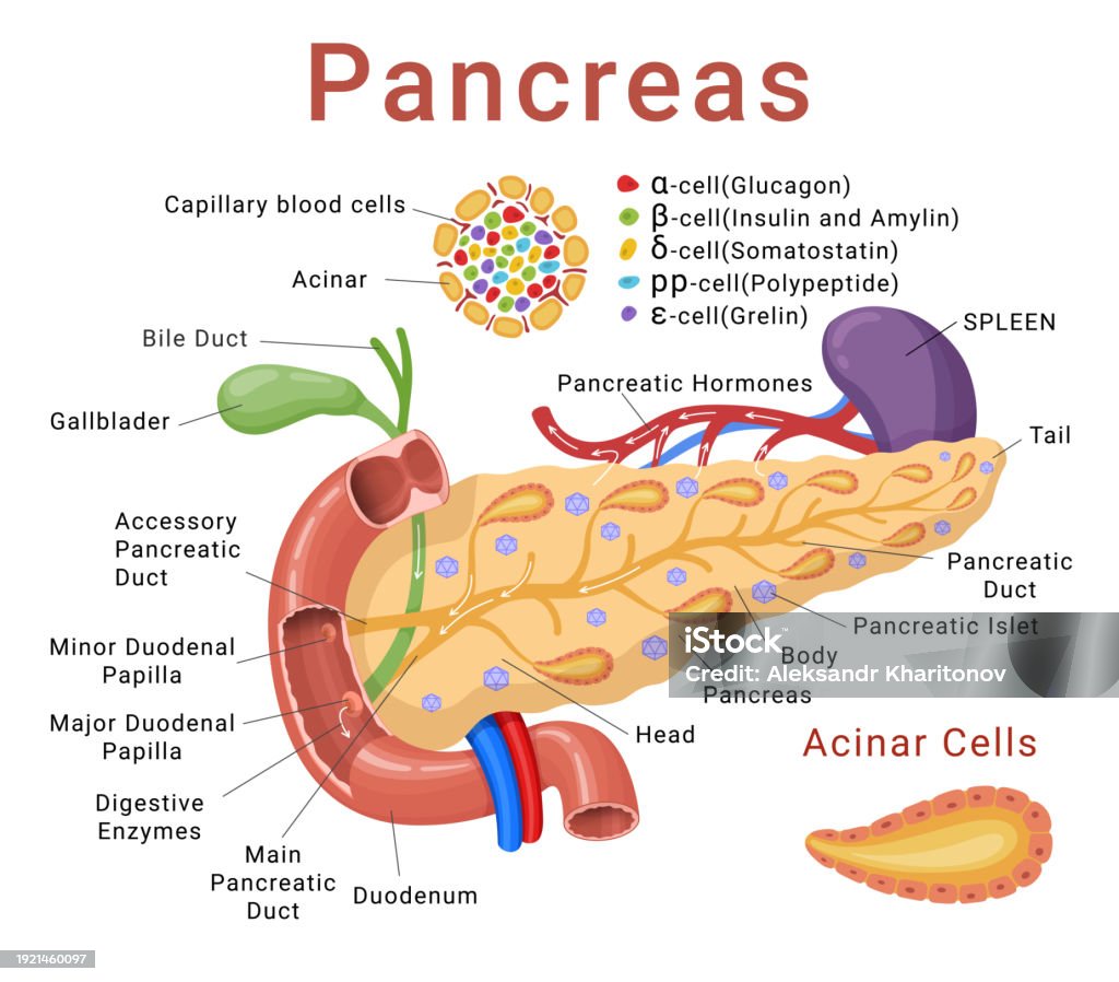 OLAPARIB PER TUMORE PANCREAS ESPERIENZE E OPINIONI
