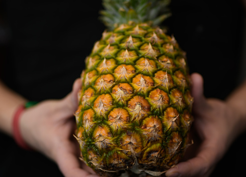 ripe sweet pineapple held in hands on black background