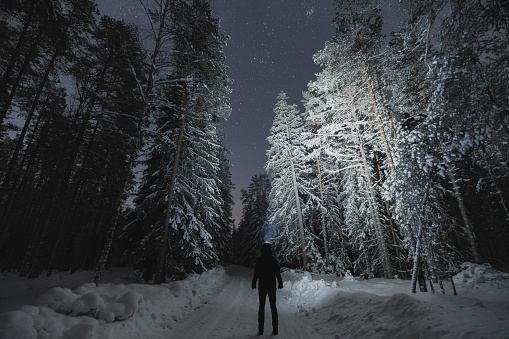 Night scene, a man with a headlamp in the winter forest with starry sky. Back view. High quality photo