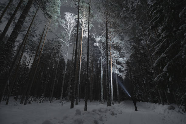 istock Night scene, a man with a flashlight in the pine forest in winter. Starry sky. 1921522330
