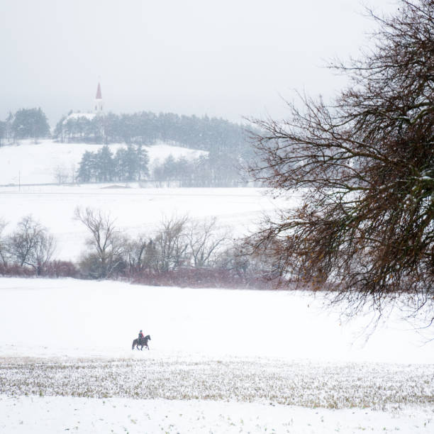 istock Riding quarter horses in winter 1921524424