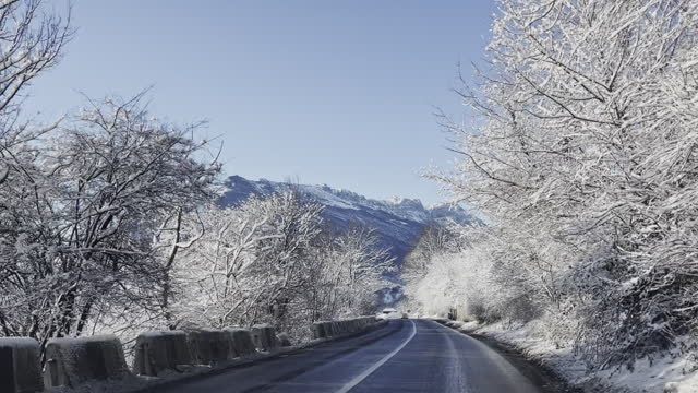 Winter mountain road with snowy trees