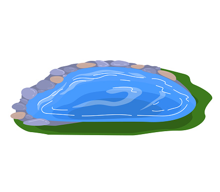Small pond with clear blue water surrounded by grass and rocks, tranquil garden pond. Natural landscape and serene environment vector illustration.