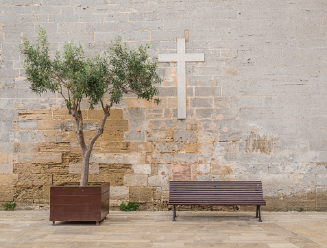 Olive tree with wooden bench and Christ cross