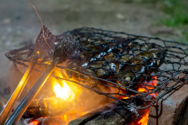 Photo of close up grilling fish over a coal fire