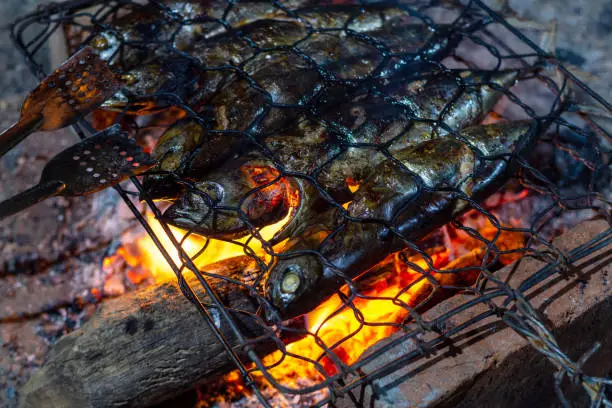 Photo of close up grilling fish over a coal fire