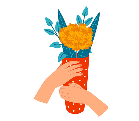 Hands holding flower bouquet in red dotted wrapper. Festive floral gift with marigold and leaves vector illustration.