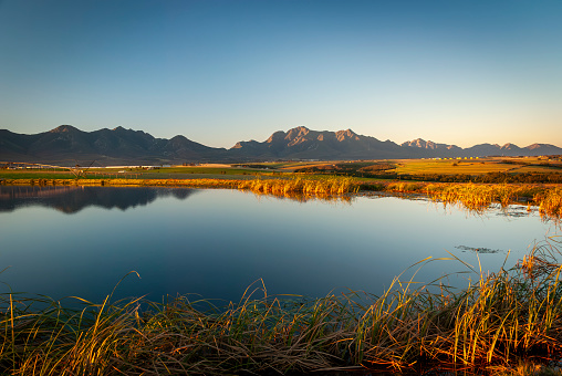 pastoral landscape and farm dam in the farmland around george, western cape, south africa