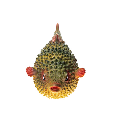 Puffer fish toy, fugu fish isolated on white background