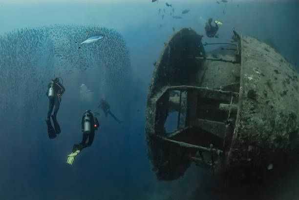 Divers swim alongside the legendary SS Thistlegorm, a World War II shipwreck in the Red Sea, teeming with marine life and historical intrigue
