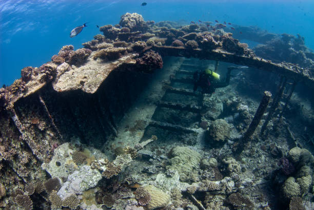 istock Mysteries Beneath: Diving into the Kingston Wreck 1921635819