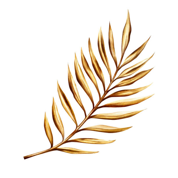 istock Watercolor golden date palm branch illustration isolated on white background. Botanical and wedding and Ramadan Kareem or Eid Al Adha 2024 hand drawn decor. For designers, prints, postcards, wrapping paper, holiday, covers, posters and textil 1921647001