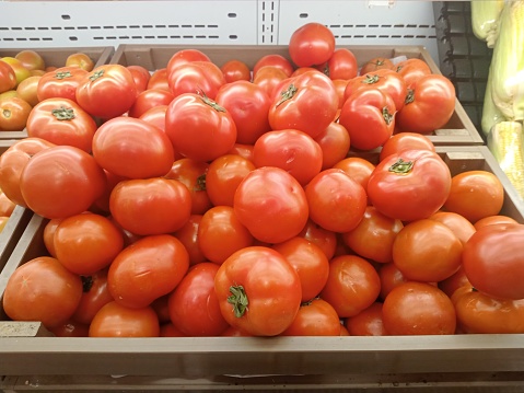 fresh tomatoes