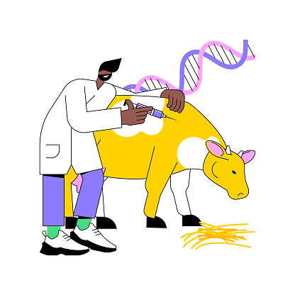 Cattle hormones isolated cartoon vector illustrations. Farmer injects an animal with cattle hormones, agribusiness industry, agricultural input sector, livestock drugs usage vector cartoon.